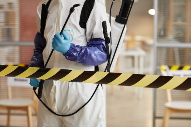 Professional Sewage Cleanup technician working in Midland, WA